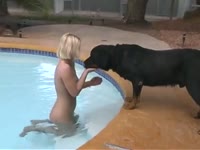 Pool dog porn